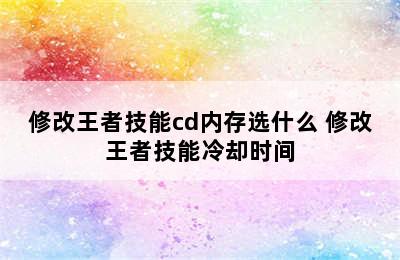 修改王者技能cd内存选什么 修改王者技能冷却时间